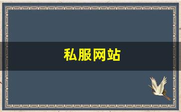 私服网站(sf999传奇新服网) (5)