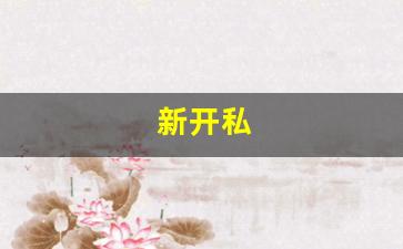 热血109：新开私(新开私股) (2)